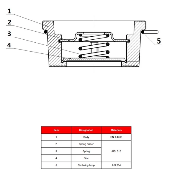 Visszacsapó szelep || DN25 || PN40 || Komplett Saválló