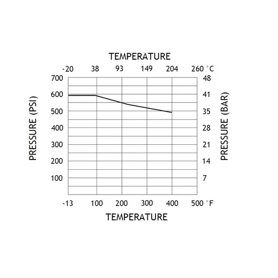 Visszacsapó szelep || DN25 || PN40 || Komplett Saválló